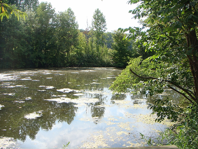 068 Longwood Gardens [2008 August 23].JPG - Longwood Gardens in Pennsylvania